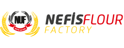 Nefis Un Logo