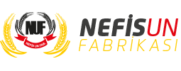 Nefis Un Logo